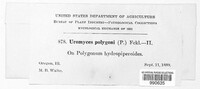 Image Associated With the Occurence